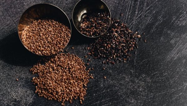 The Culinary Renaissance: How Forgotten Grains are Revolutionizing Global Diets in 2026