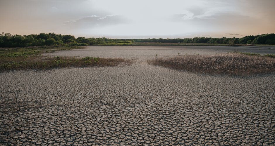 Exploring Global Water Scarcity Solutions: Innovative Strategies for 2026