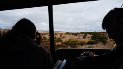 10 Unforgettable Wildlife Experiences to Add to Your 2026 Bucket List