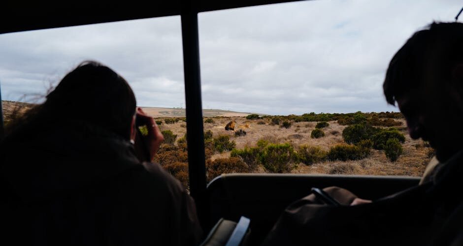 10 Unforgettable Wildlife Experiences to Add to Your 2026 Bucket List