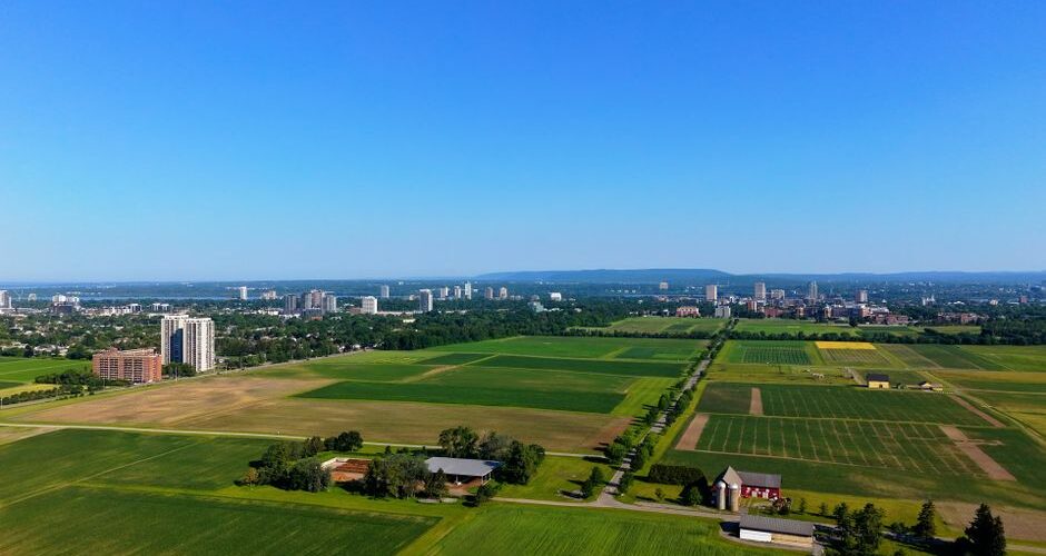 From Urban Farms to Global Plates: How 2026 is Transforming Local Agriculture